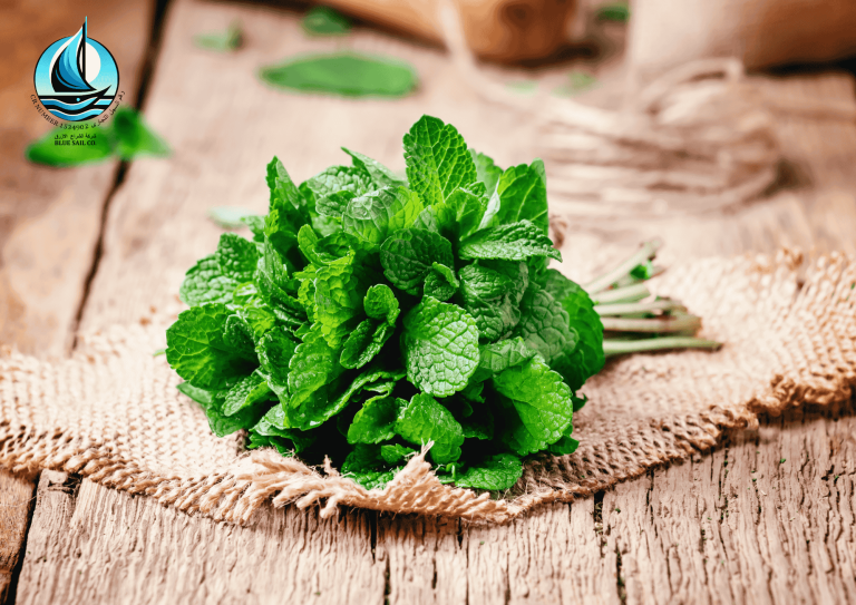 The Remarkable Properties of Mint